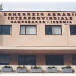 Consorzio Agrario Interprovinciale Campobasso – Isernia. Costituzione CADAM